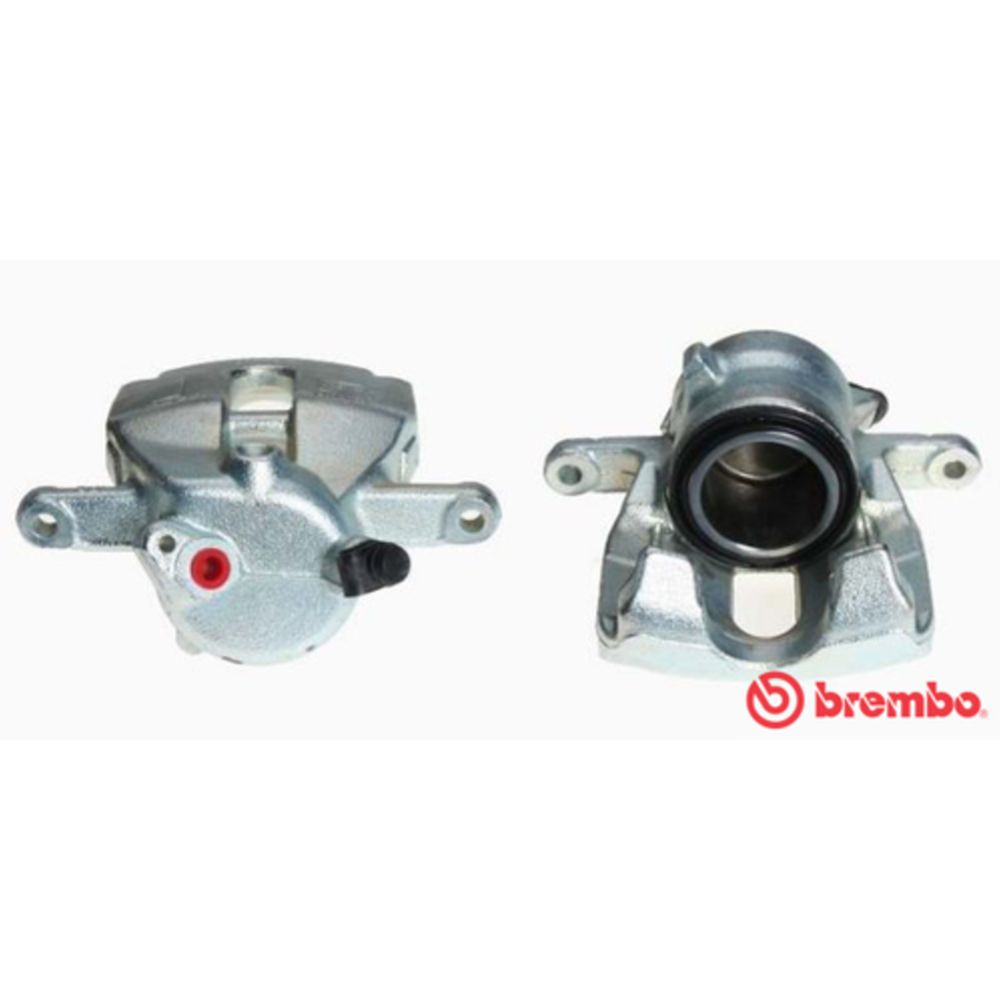 Jarrusatula 23-01429