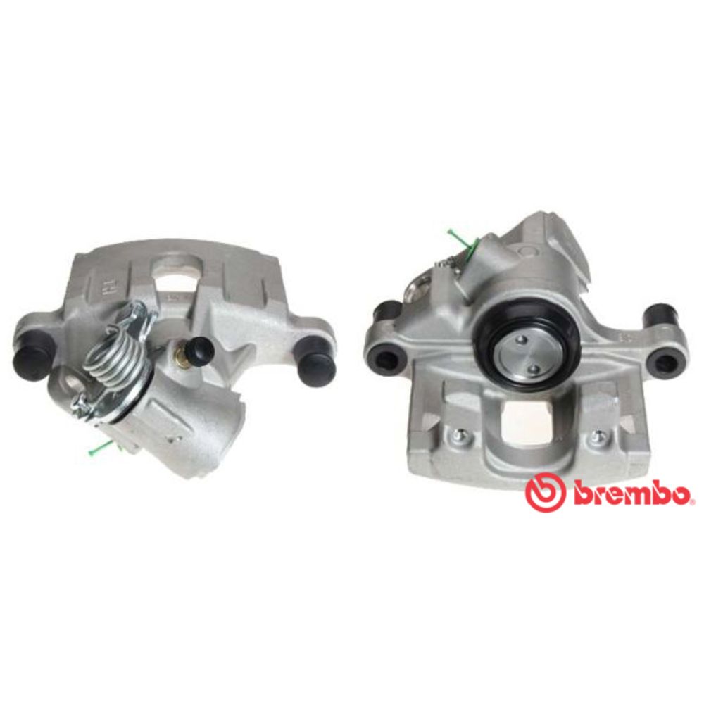 Jarrusatula 23-01353