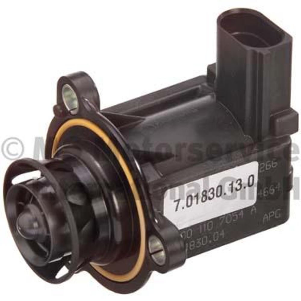 Wastegate 21-00062