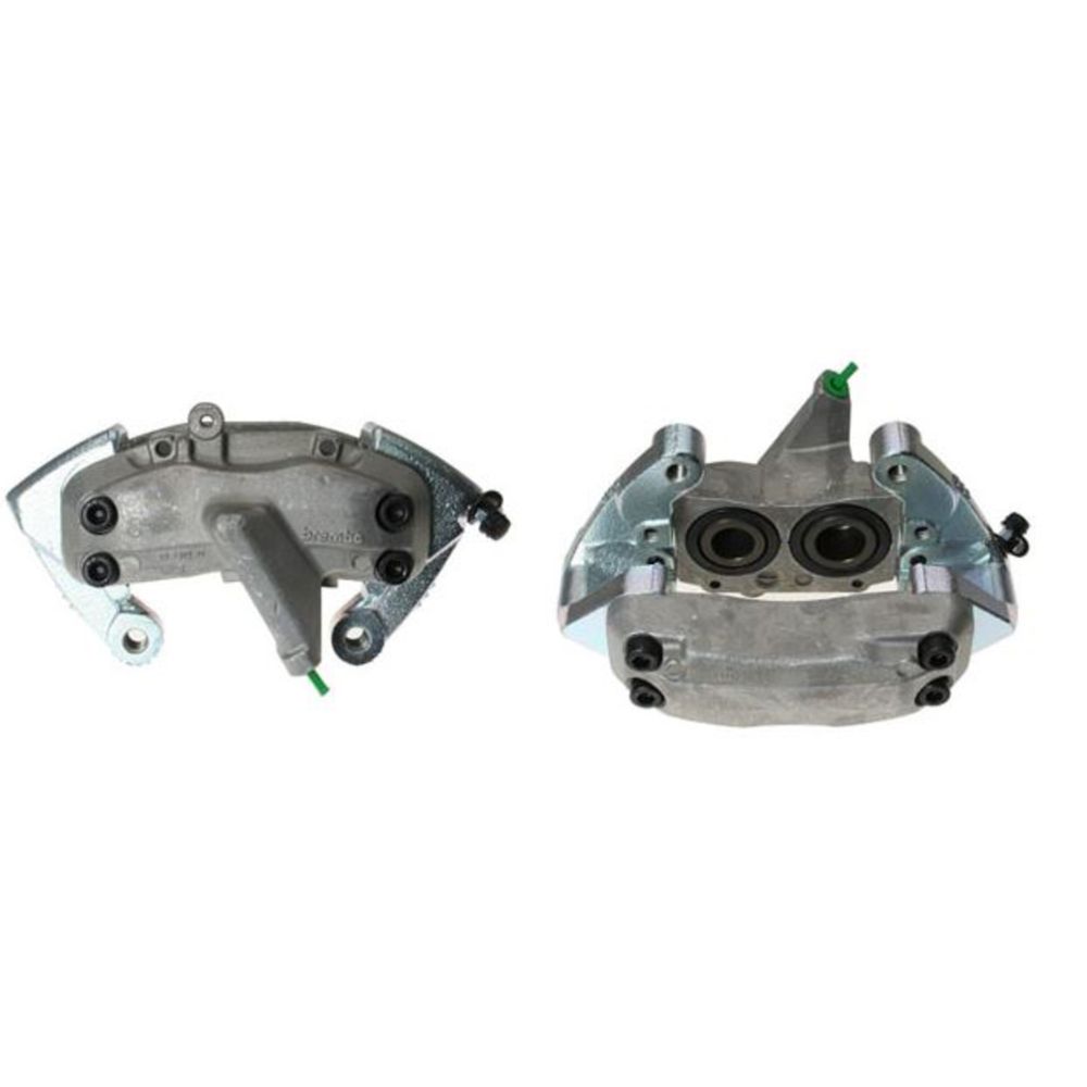 Jarrusatula 23-00215