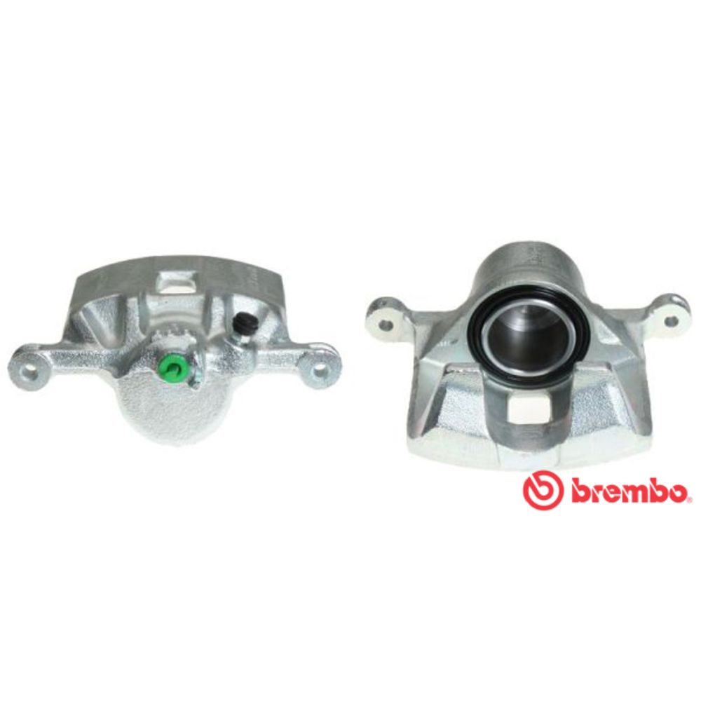 Jarrusatula 23-02871