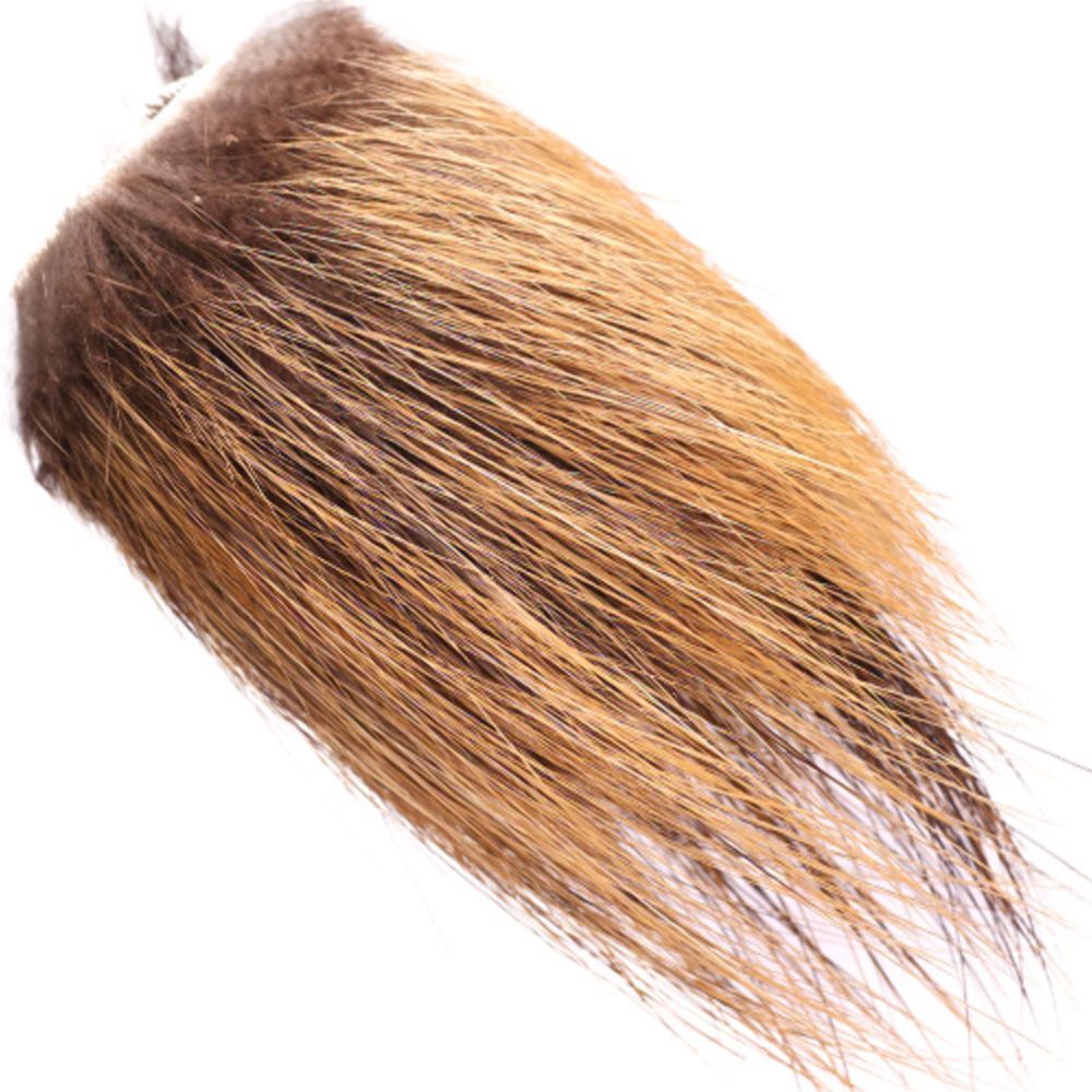 Nutrian vartalokarva 5 x 10 cm musta