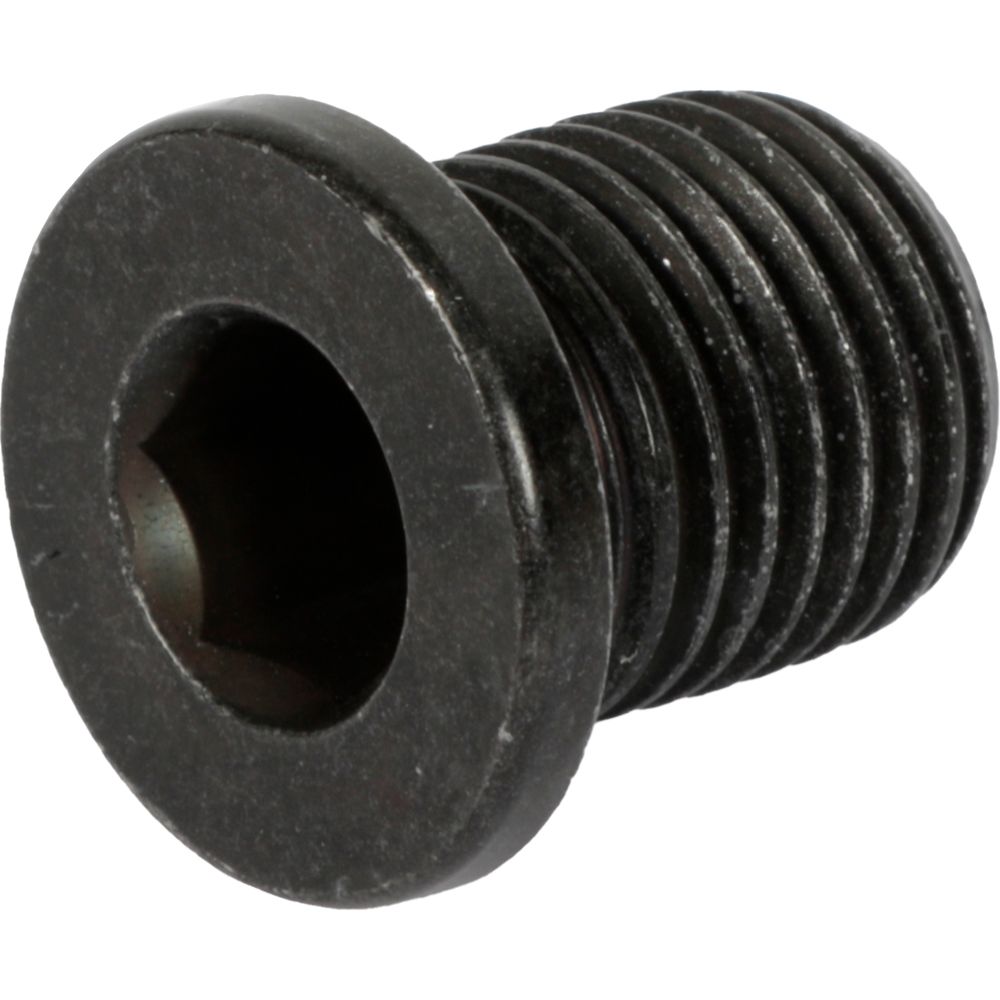 Oljeplugg 98-25831