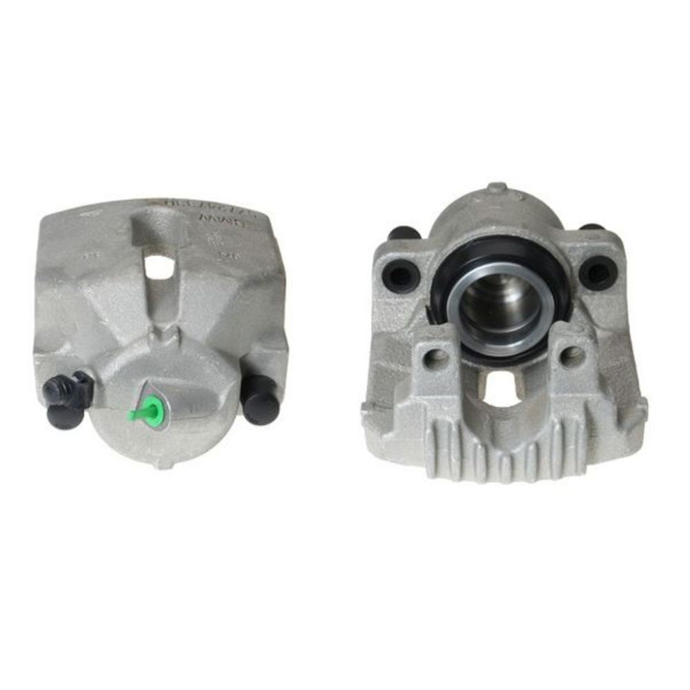 Jarrusatula 23-00330