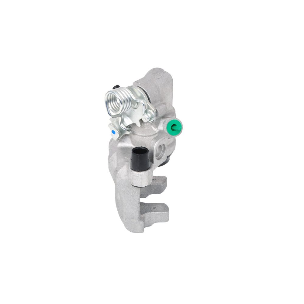 Jarrusatula 23-9578