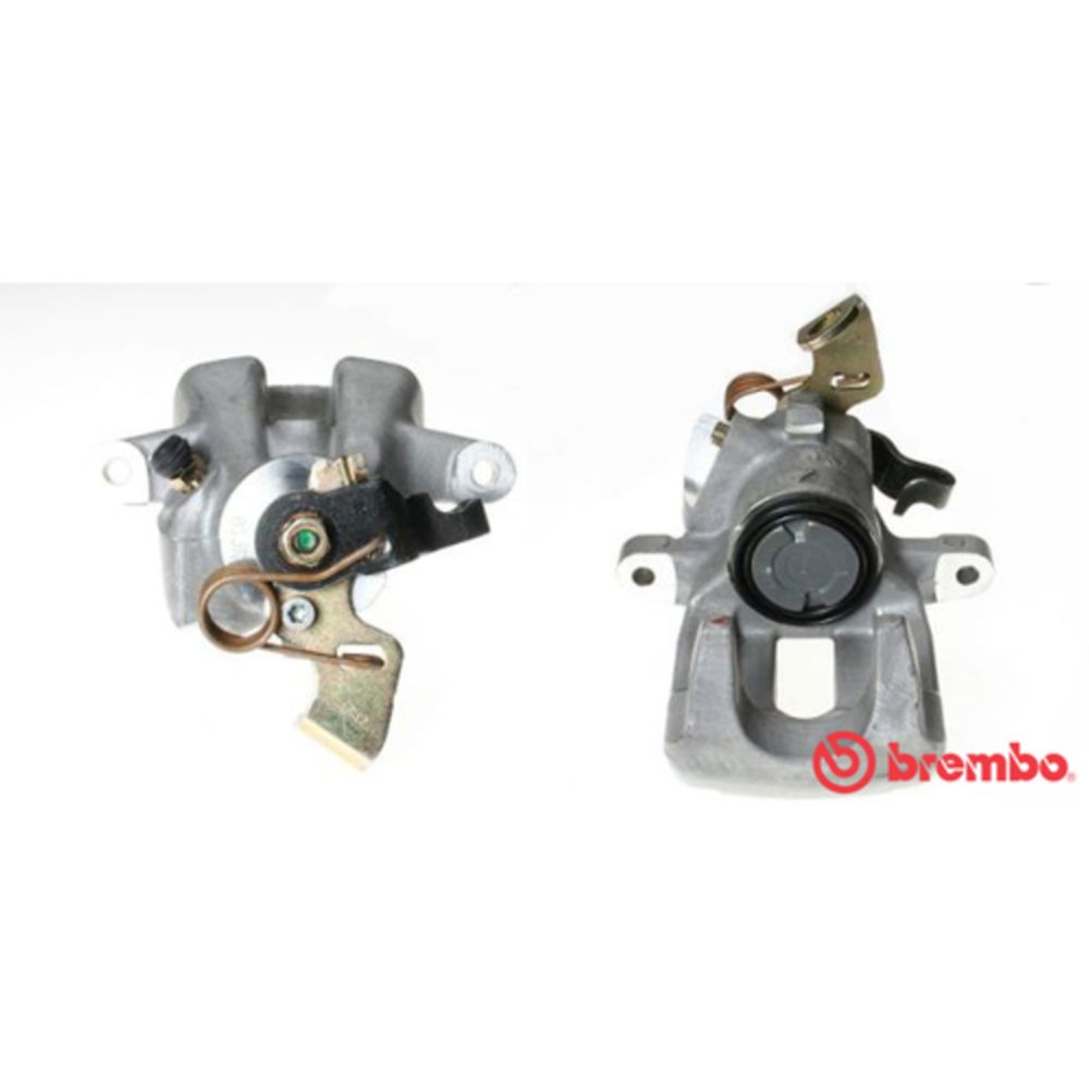 Jarrusatula 23-01460