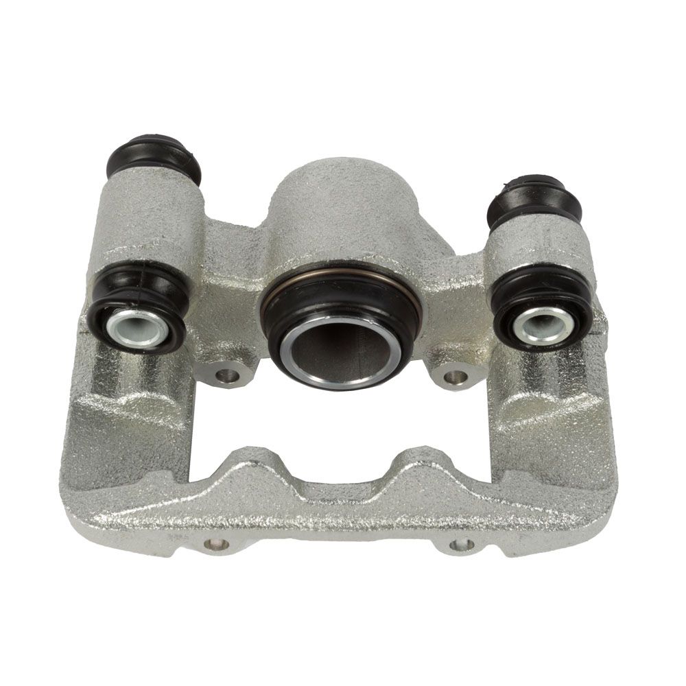 Jarrusatula 23-00765