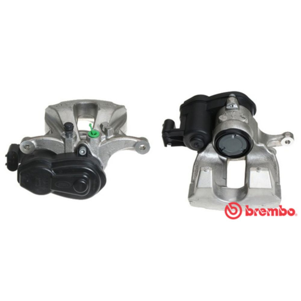 Jarrusatula 23-00953