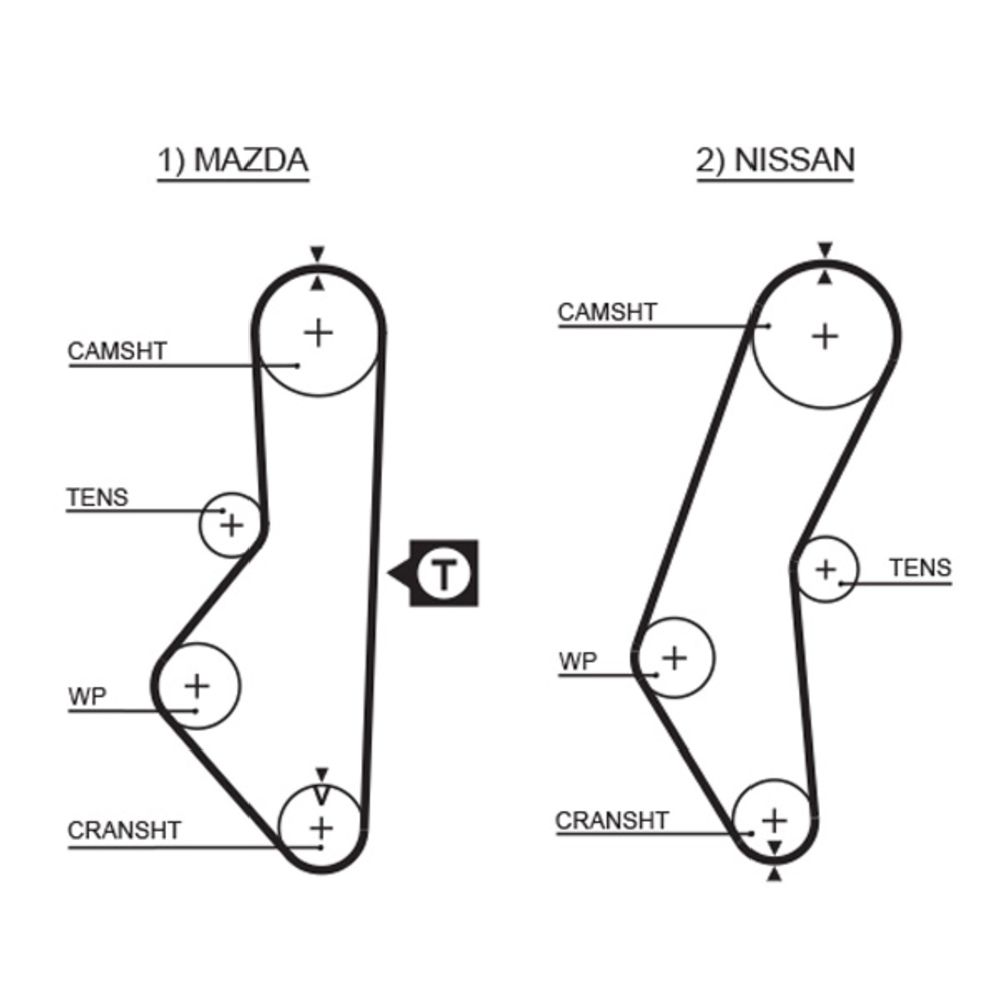 Hammasrihm 25-5012