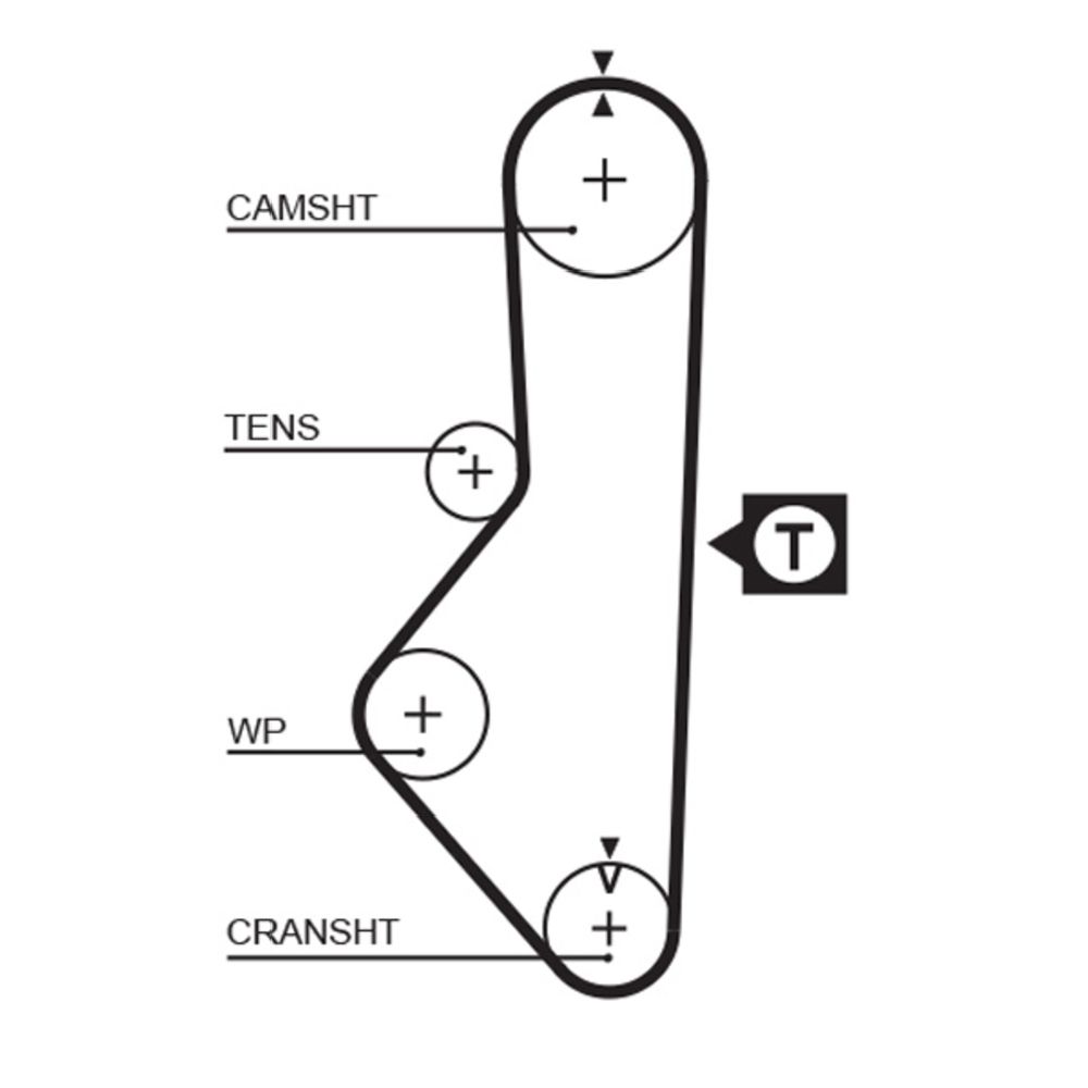 Kuggrem 25-5048