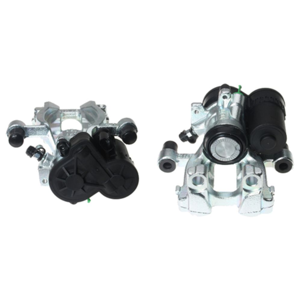 Jarrusatula 23-00938