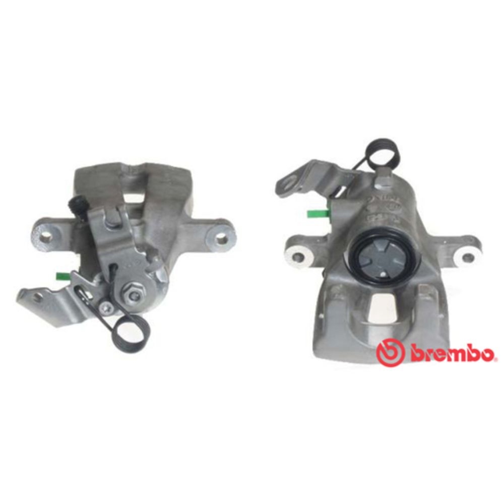 Jarrusatula 23-01168