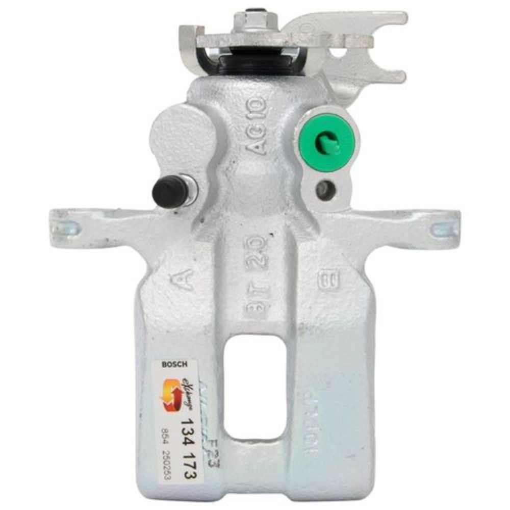 Jarrusatula 23-00427