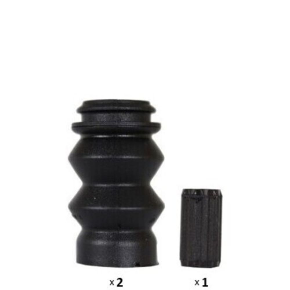 Jarrusatula 23-00855