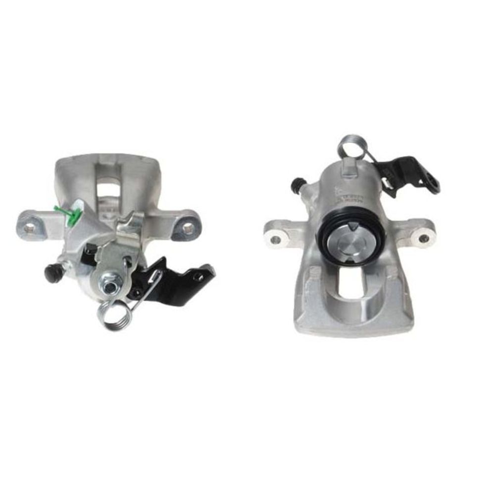 Jarrusatula 23-00298