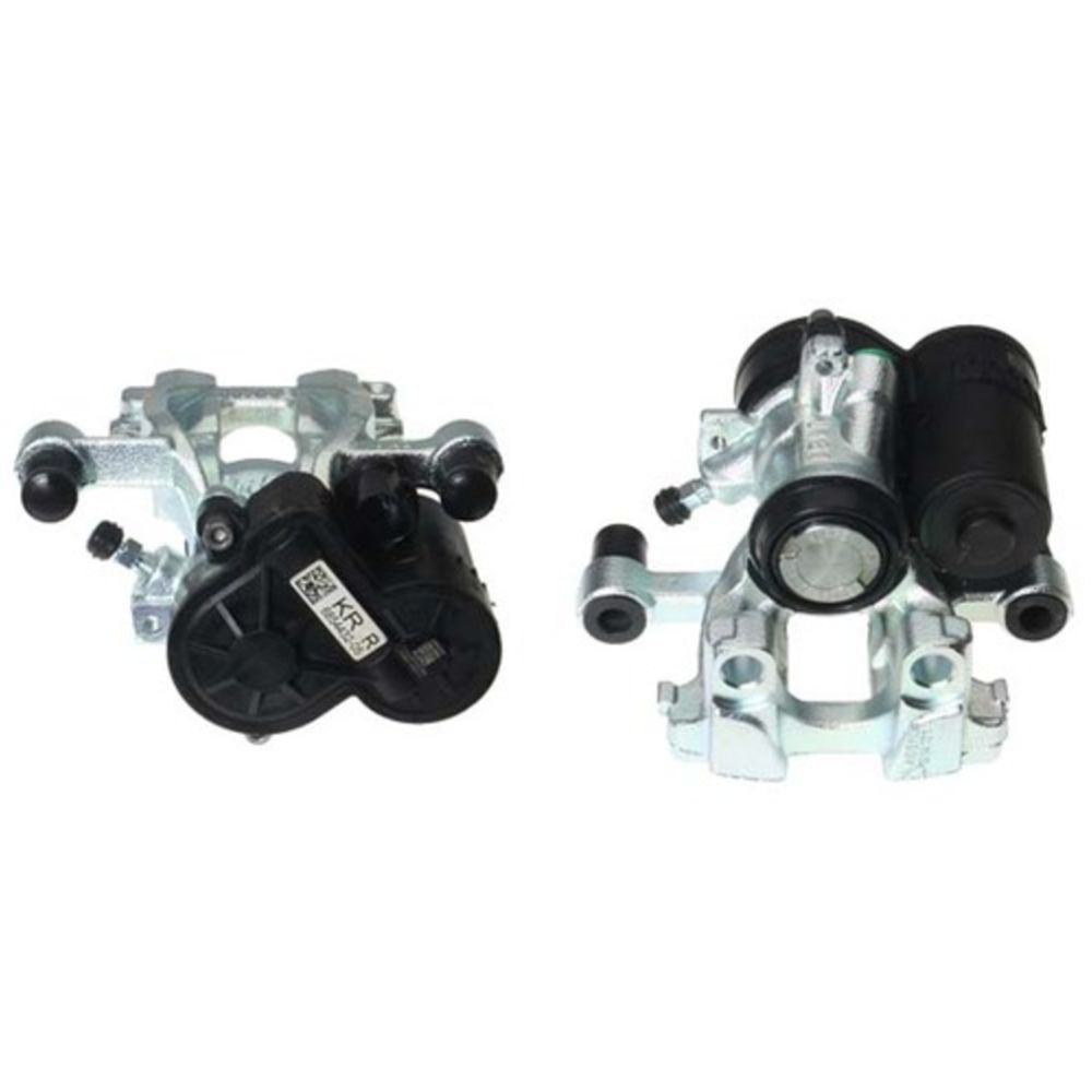 Jarrusatula 23-00932