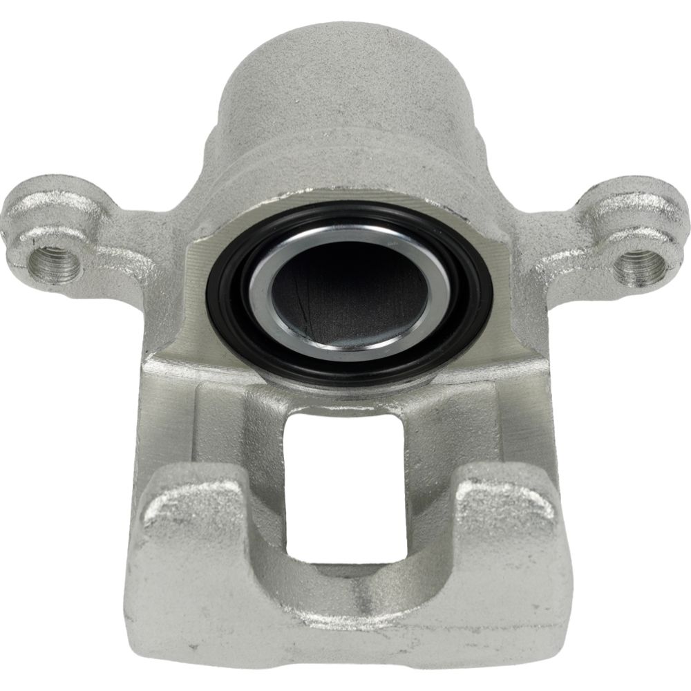 Jarrusatula 23-02664