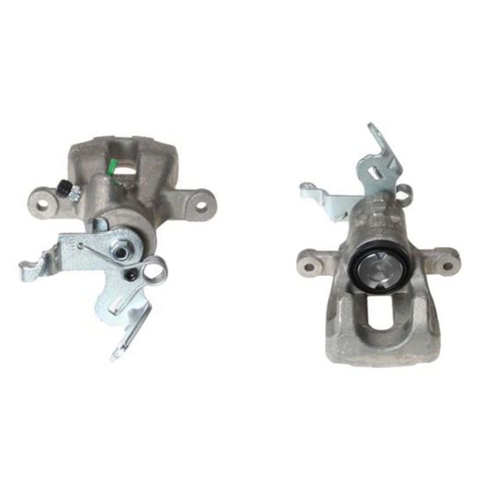 Jarrusatula 23-00165