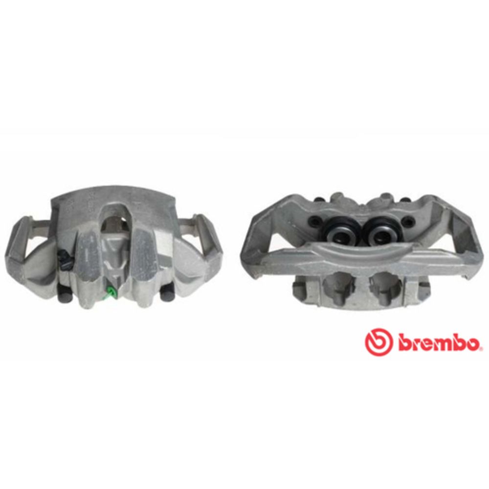 Jarrusatula 23-01412