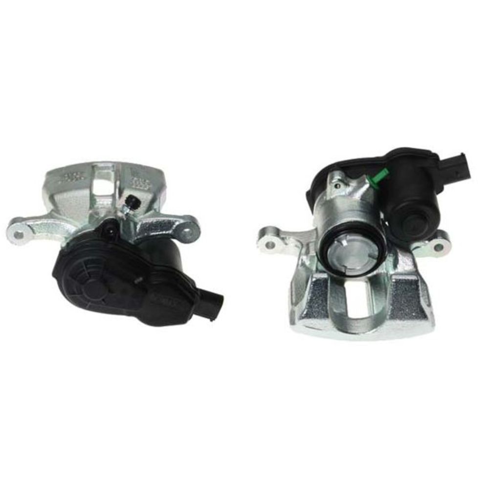 Jarrusatula 23-00411