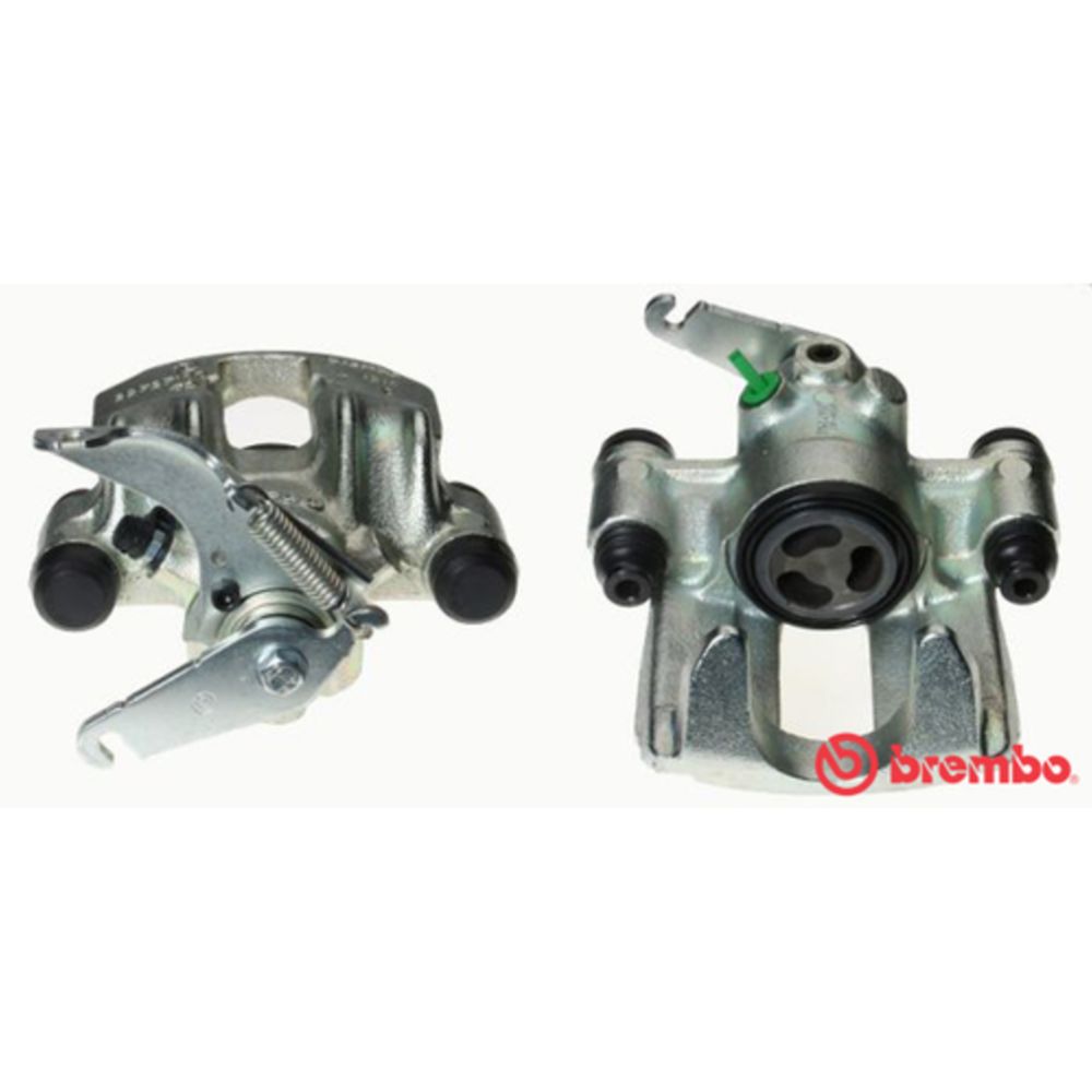 Jarrusatula 23-01513