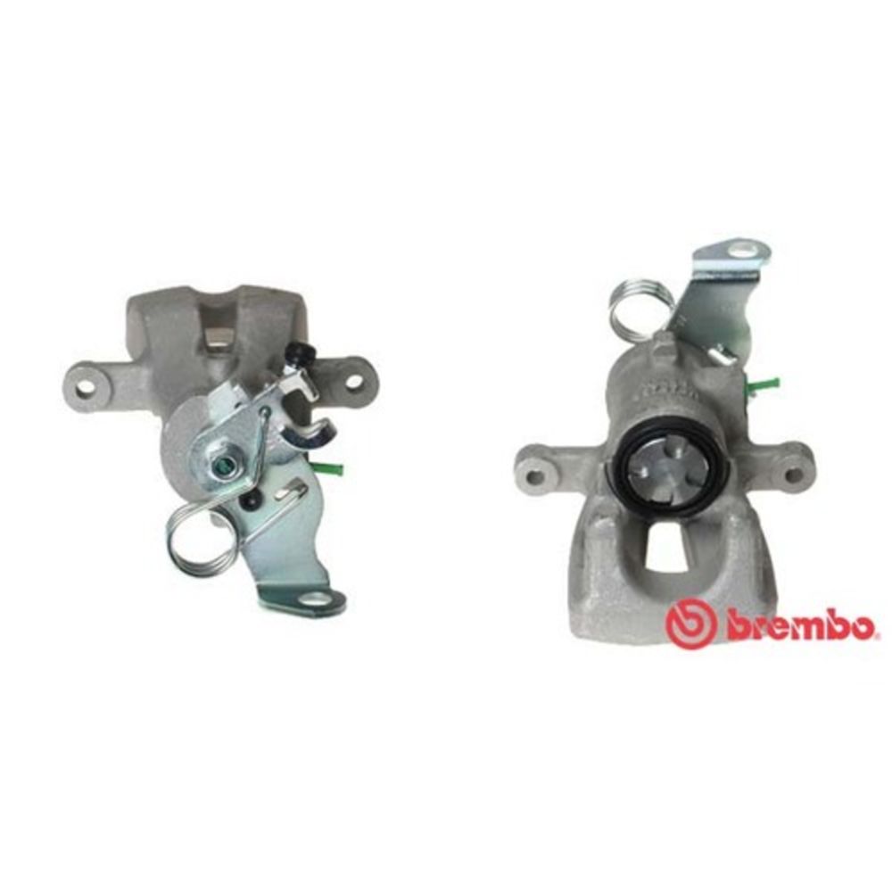 Jarrusatula 23-01106