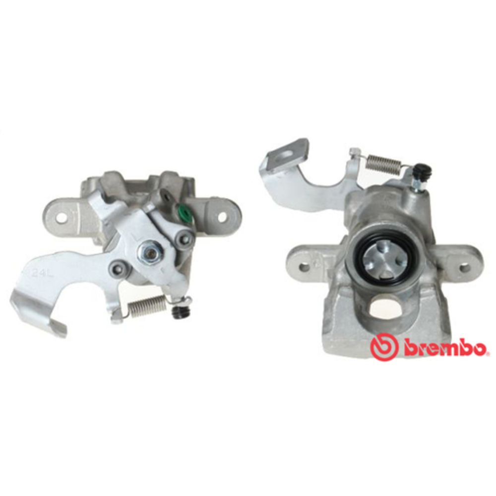 Jarrusatula 23-01153