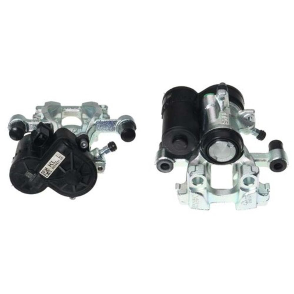 Jarrusatula 23-00933