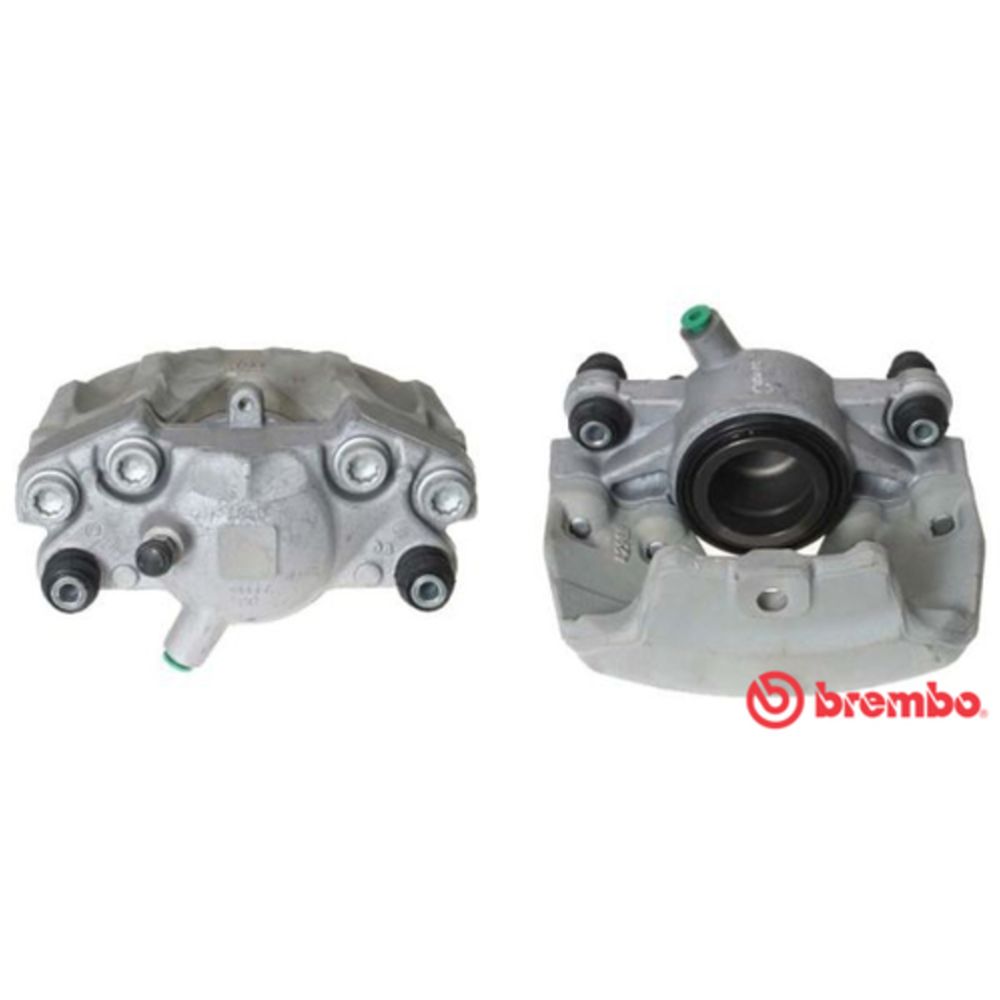 Jarrusatula 23-01105