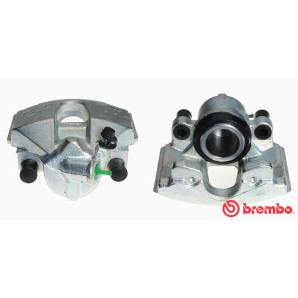 Jarrusatula 23-02030