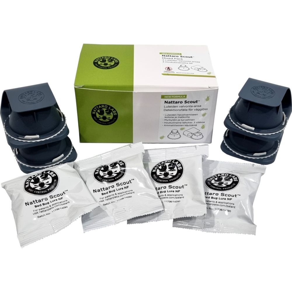 Nattaro Scout Ludeansa, 4 + 4