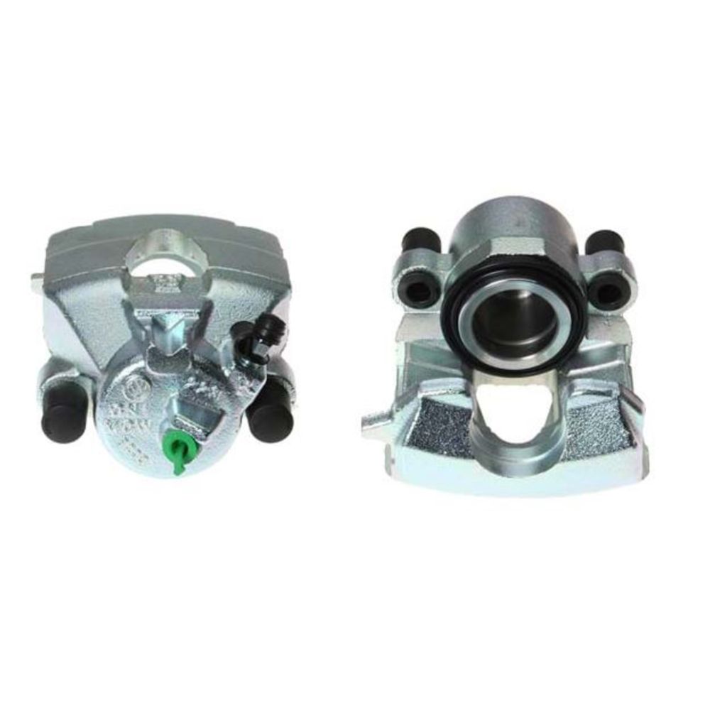 Jarrusatula 23-00318