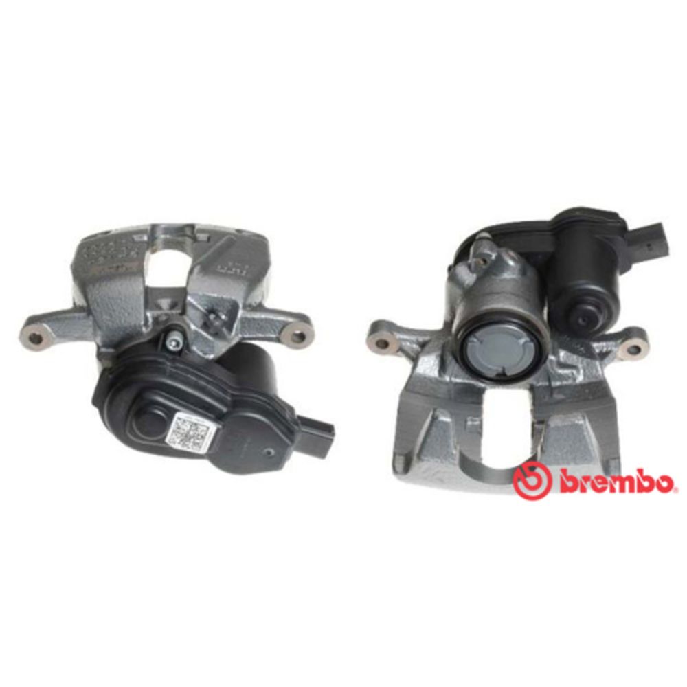 Jarrusatula 23-00923