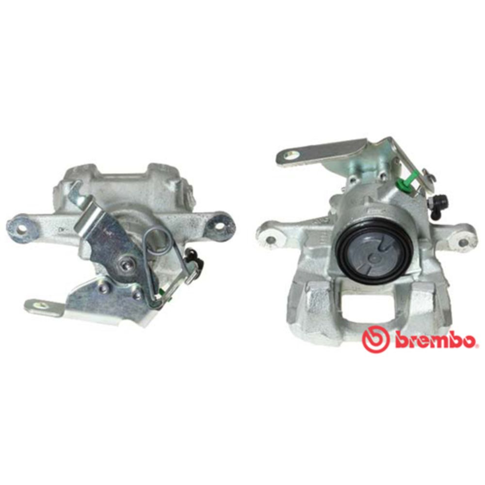 Jarrusatula 23-01236