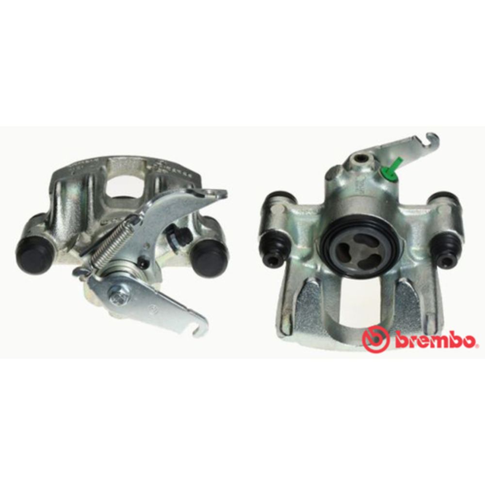 Jarrusatula 23-01512