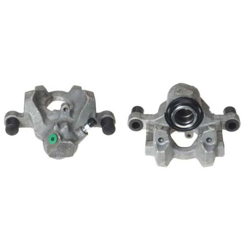 Jarrusatula 23-00185