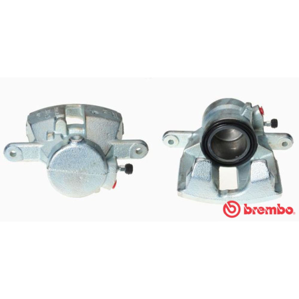 Jarrusatula 23-01320