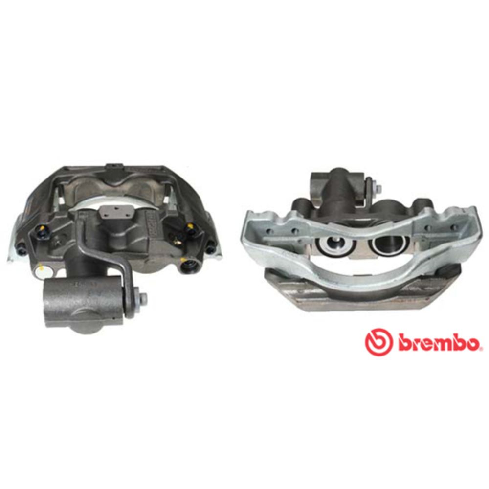 Jarrusatula 23-02495