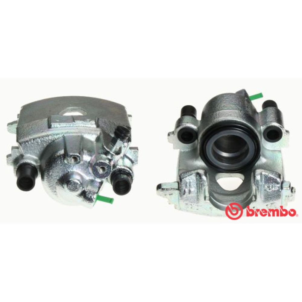 Jarrusatula 23-00176