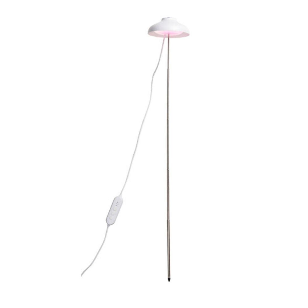 Airam Iris LED-kasvivalaisin 5 W 240 lm USB valkoinen