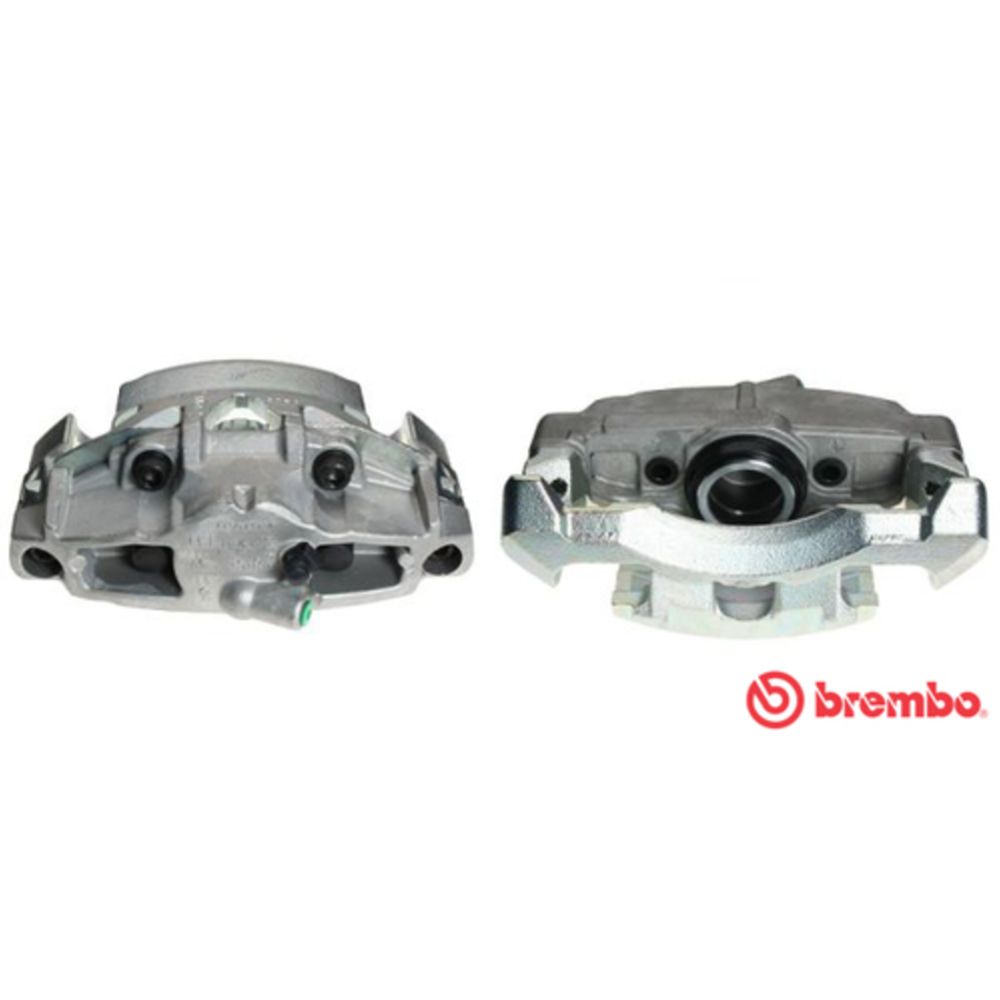 Jarrusatula 23-00032