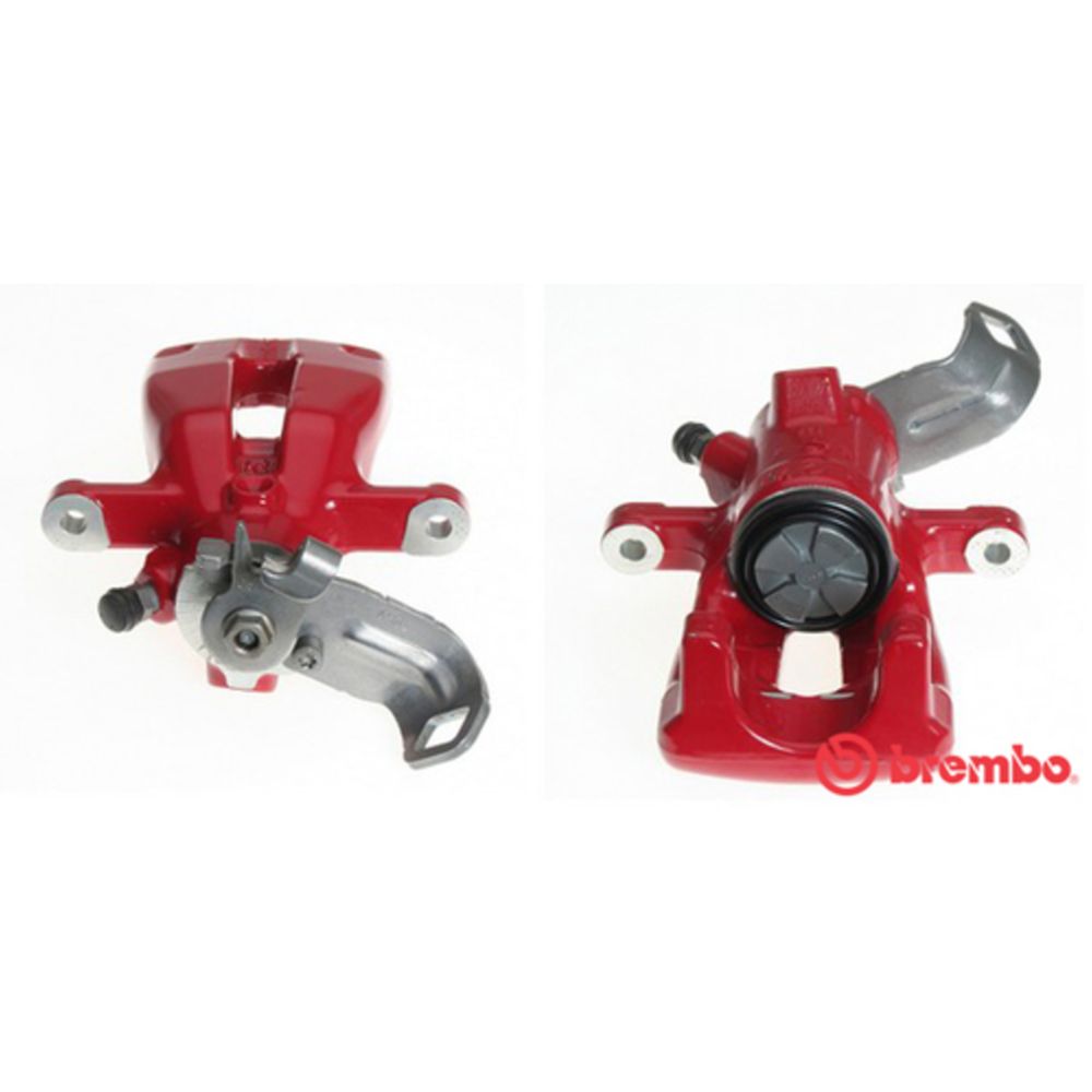 Jarrusatula 23-01417