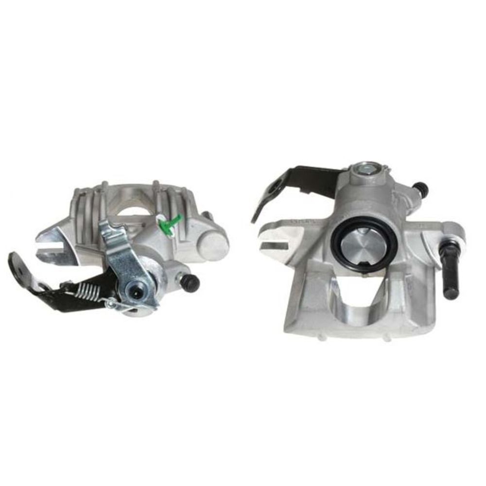 Jarrusatula 23-00295