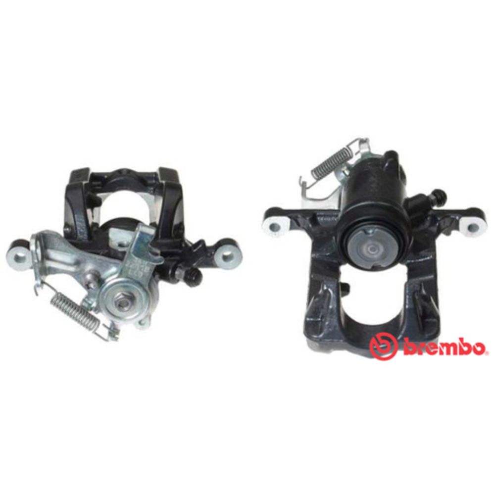 Jarrusatula 23-01424