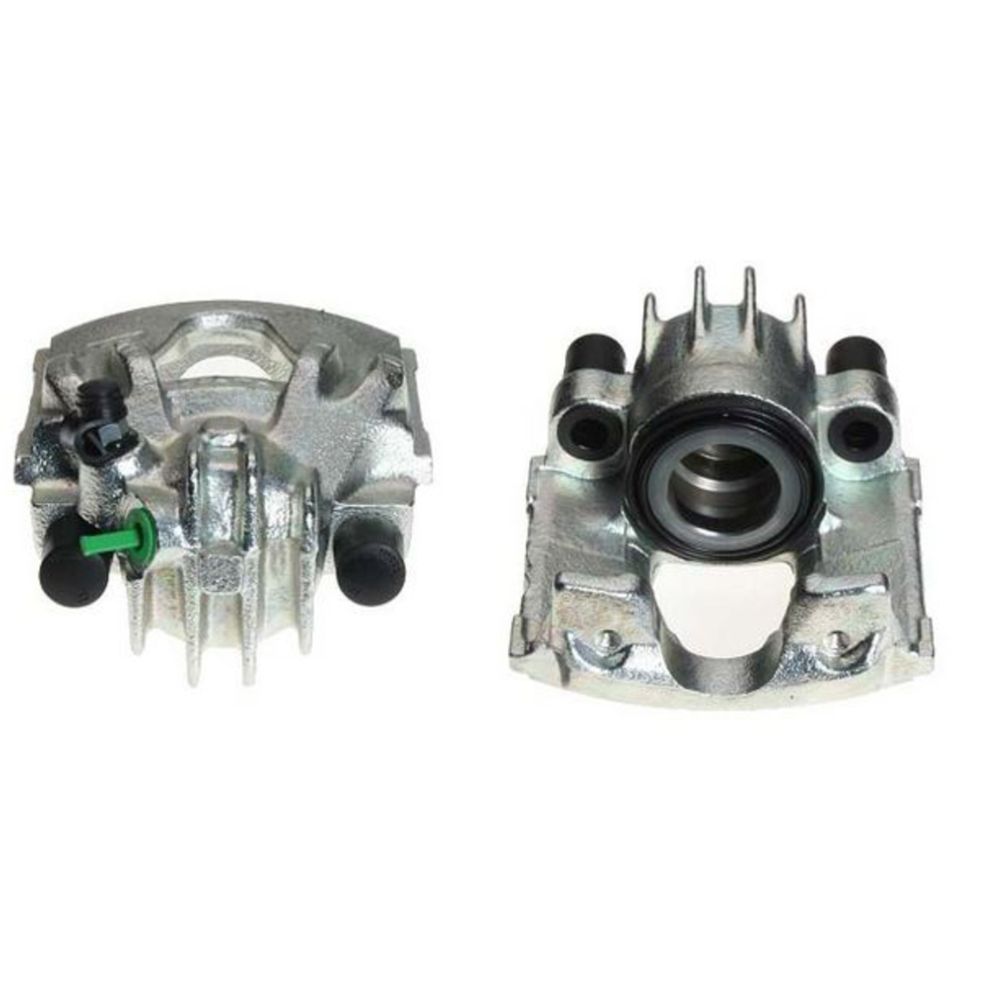 Jarrusatula 23-00259