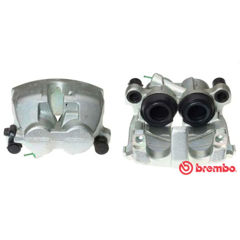 Jarrusatula 23-00106