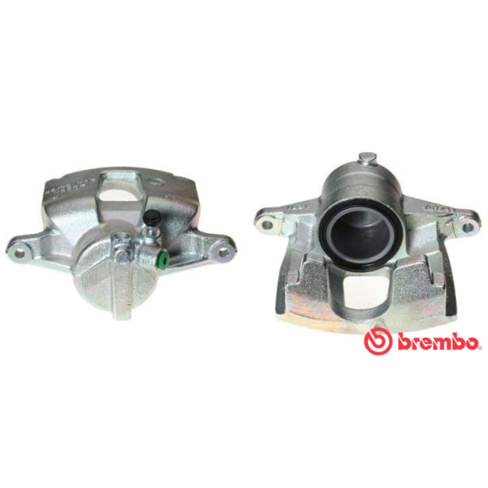 Jarrusatula 23-01262
