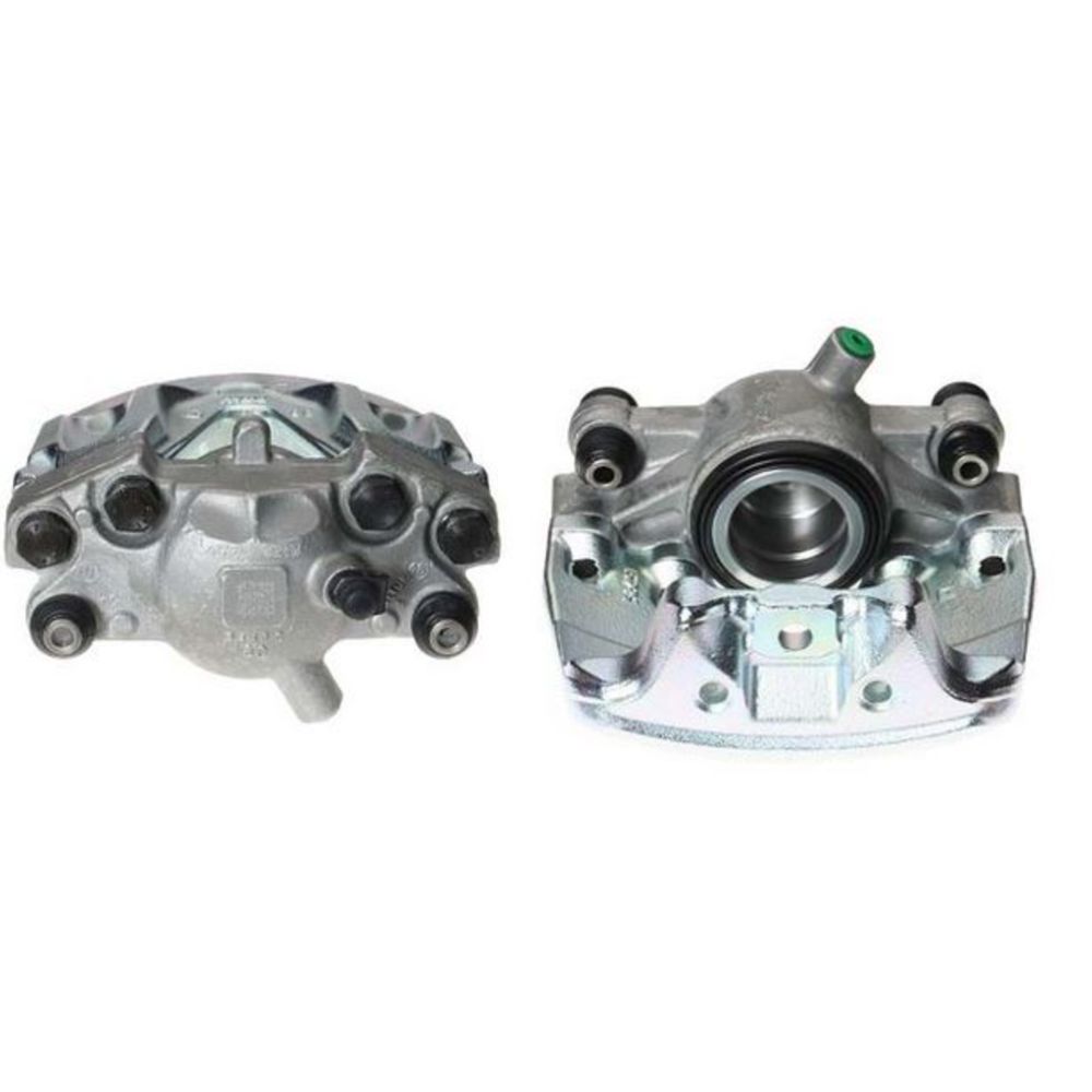 Jarrusatula 23-00257