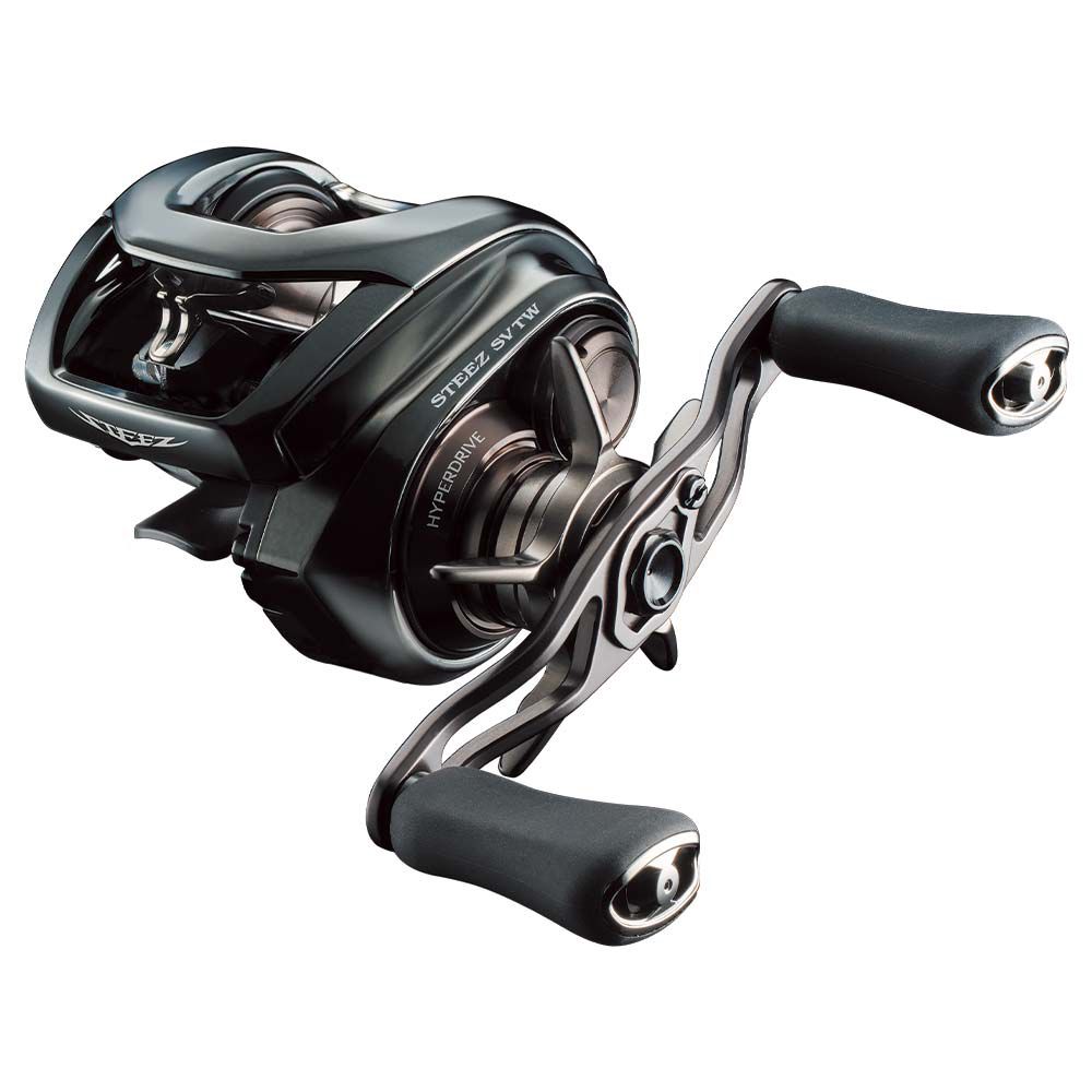 Daiwa 24 Steez SV TW 100H Multirulla