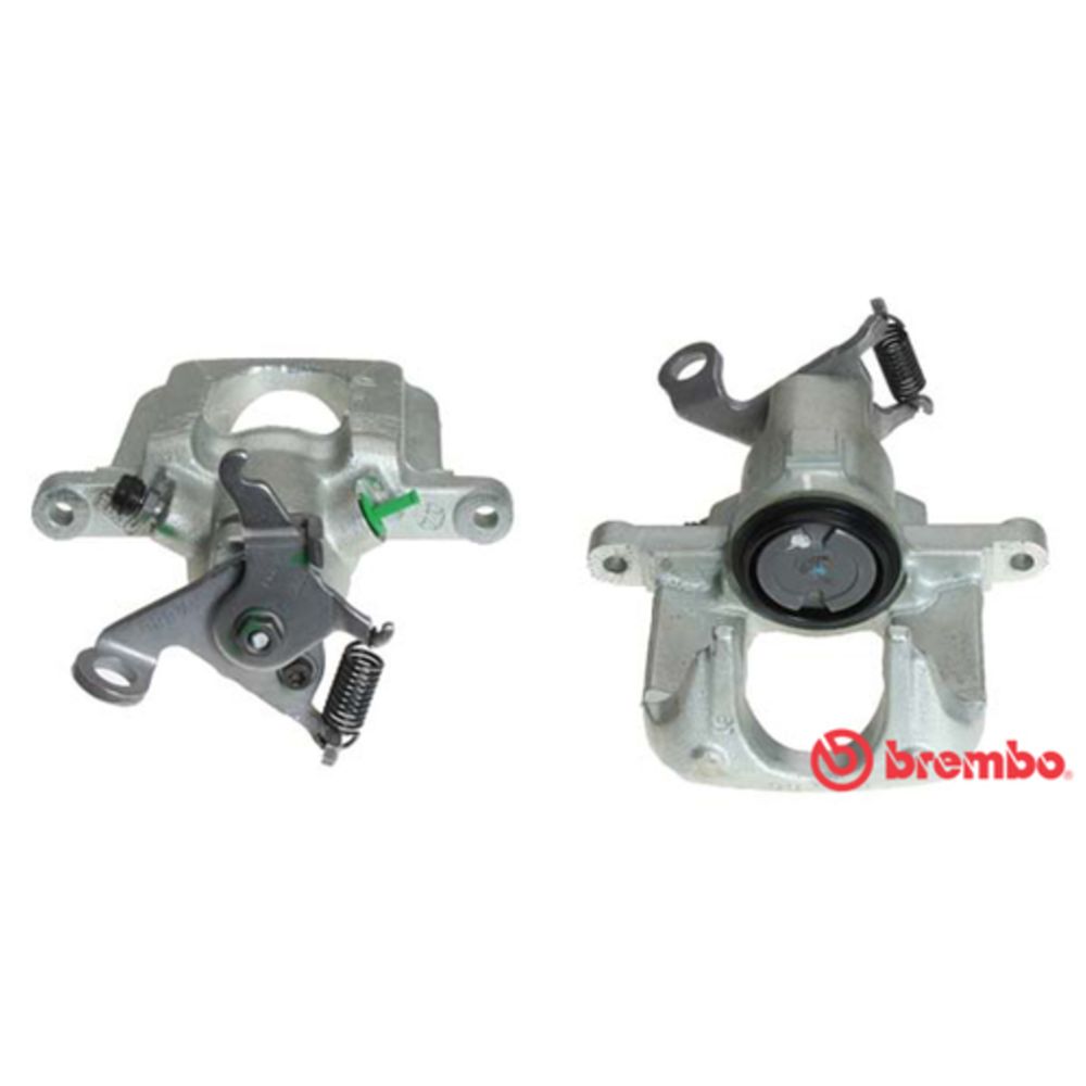 Jarrusatula 23-01538